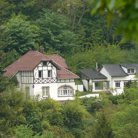 La Dependance De La Villa Des Oiseaux - La Petite Pierre Eksteriør bilde