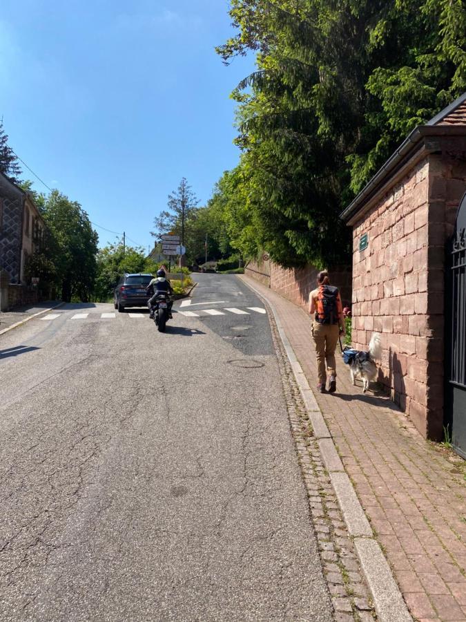 La Dependance De La Villa Des Oiseaux - La Petite Pierre Eksteriør bilde