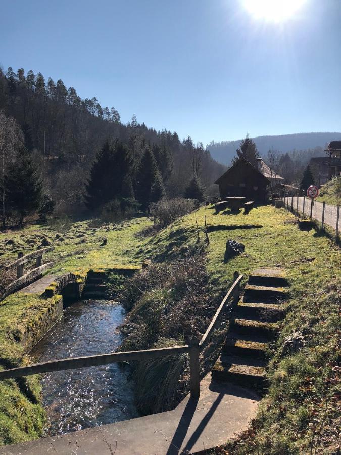La Dependance De La Villa Des Oiseaux - La Petite Pierre Eksteriør bilde