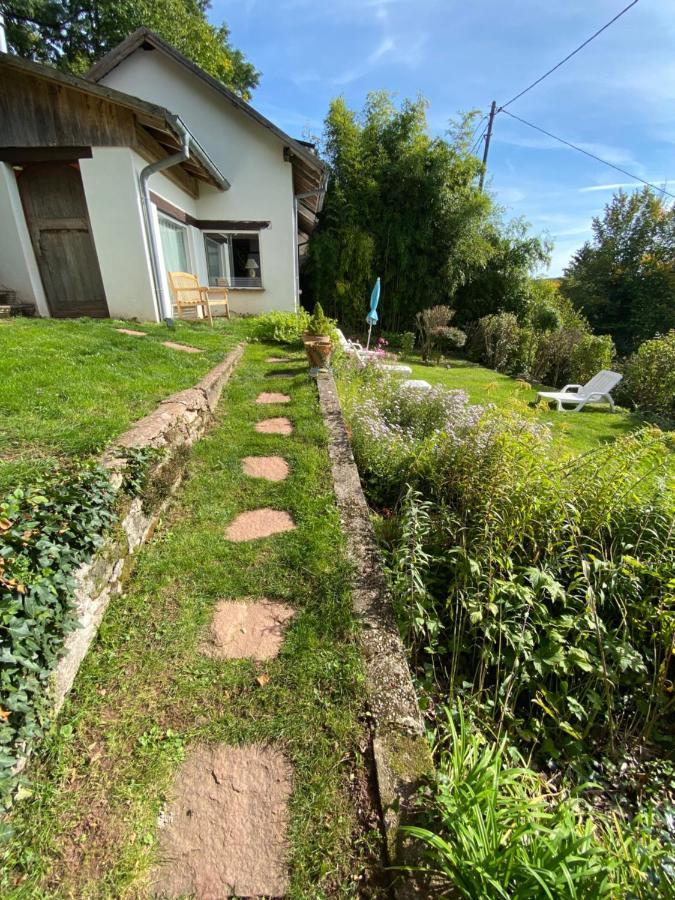 La Dependance De La Villa Des Oiseaux - La Petite Pierre Eksteriør bilde